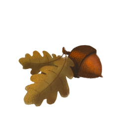 Иллюстрации-вклейки