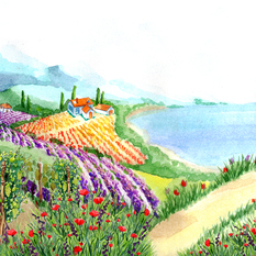 Баннер для сайта