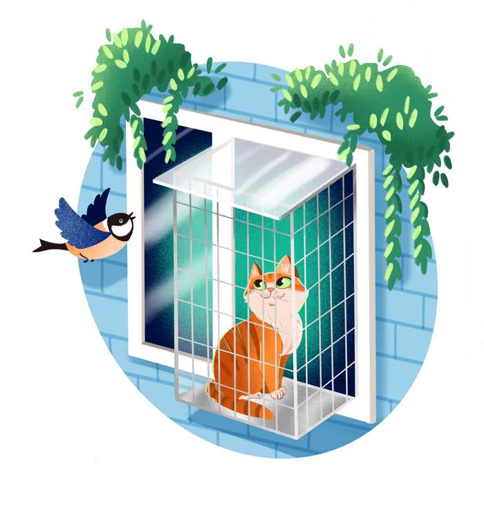 Рыжий кот на балконе для "КОТОКОМБЫ"