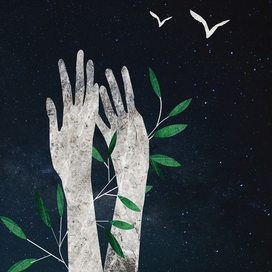 Иллюстрация поэзии