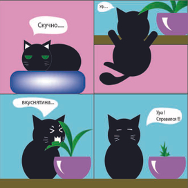 Будни Мурчика