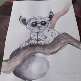 Таинственный зверек