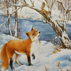 Лис и белка 