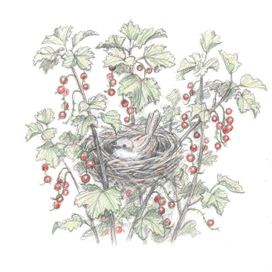 Юрий Третьяков "Толстый мальчишка Глеб"("Речь"2015)