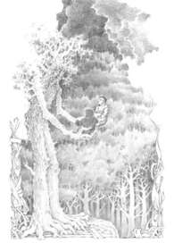 Властелин колец. Фангорн и хоббиты.