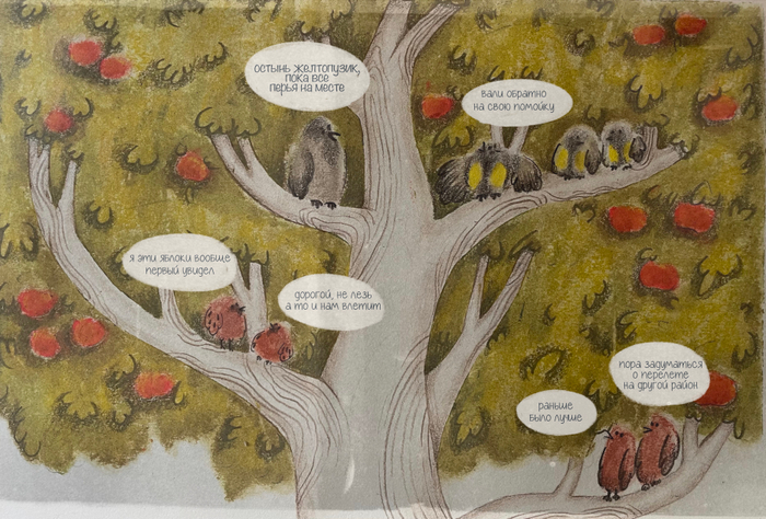 Птичья перебранка