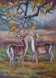 Желтые листья