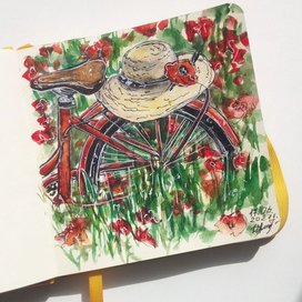 Едем в лето