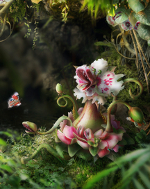 Хищный цветок