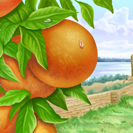 Тестовое задание