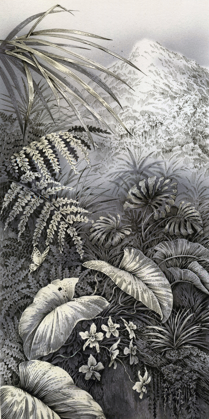 Пробная работа