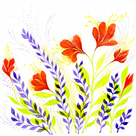 Полевые цветы