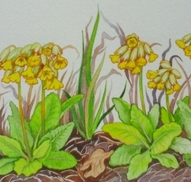 Ключики-баранчики