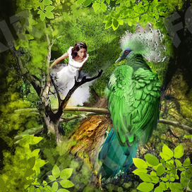 Зеленая птица