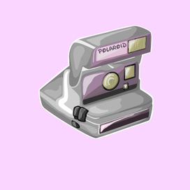 Polaroid