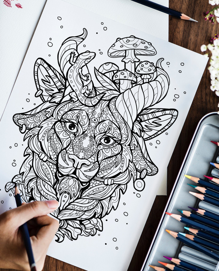 Раскраска антистресс 