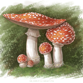 Мухоморы