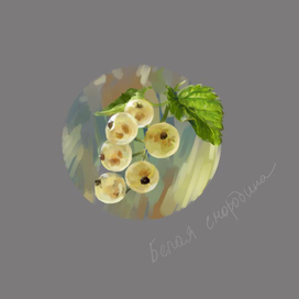 Белая смородина