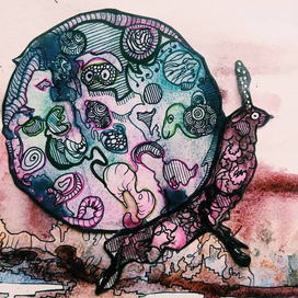 Скоковая улитка