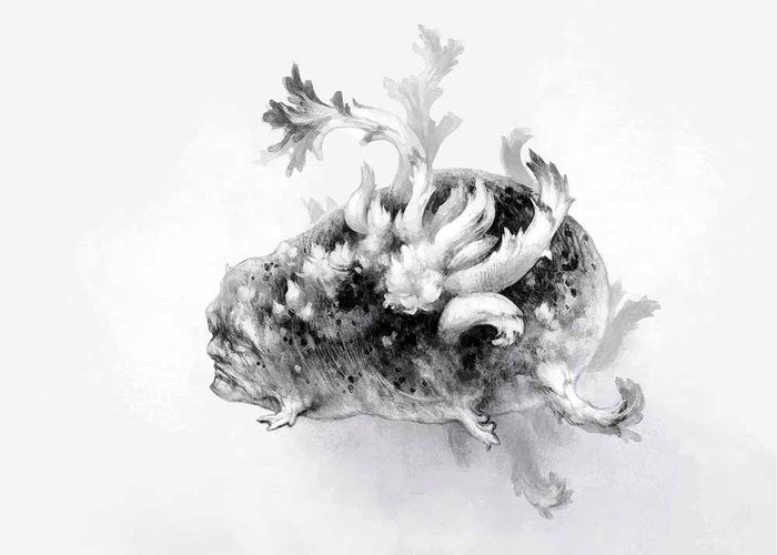 Человек-картошка