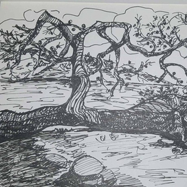 Дерево в турецкой бухте