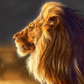Lion