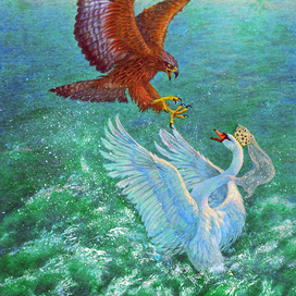 Бьется лебедь средь зыбей