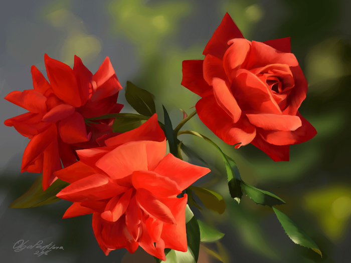 Красные розы