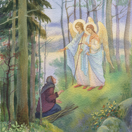 Путешествие на Соловецкие острова