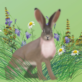 Иллюстрация к детской книге