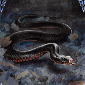 Иллюстрация для карт таро