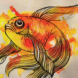 Golden fish