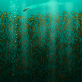 Любопытство