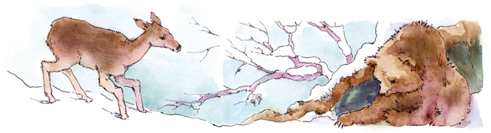 К сказке про оленя