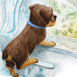 Кто сказал мяу, Альбом иллюстраций