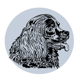 Пёс мой пёс.