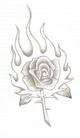 Пламенная роза
