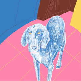 "Моя собака Аид"