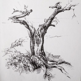 Tree. Graphic scetch