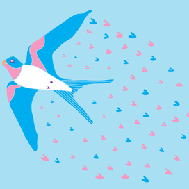 ласточка приносит любовь