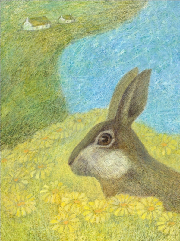 Мак-Кодрам Тюлений 3