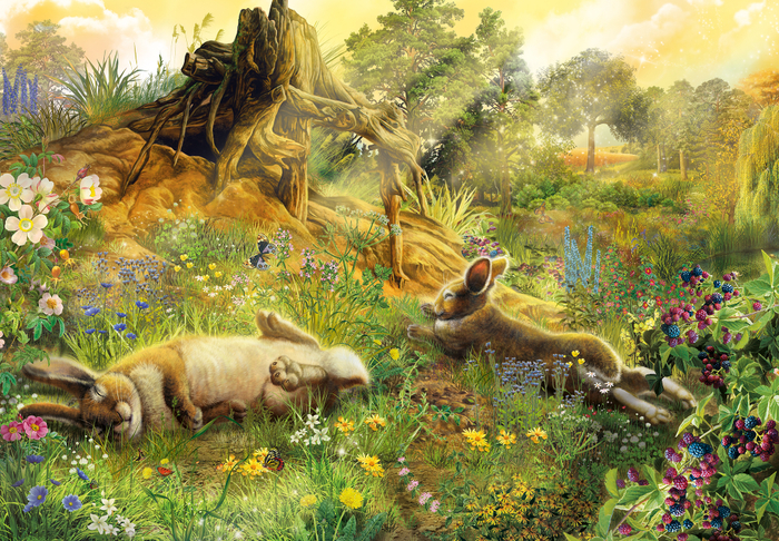 рваное ушко