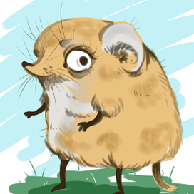 Слоновый Попрыгунчик