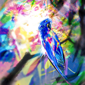 Яркий попугай 