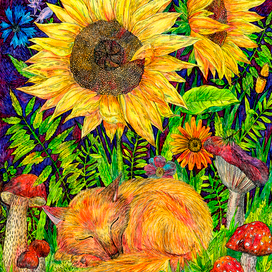 Сон маленького лисенка