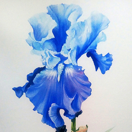 С ПРАЗДНИКОМ 8 МАРТА!