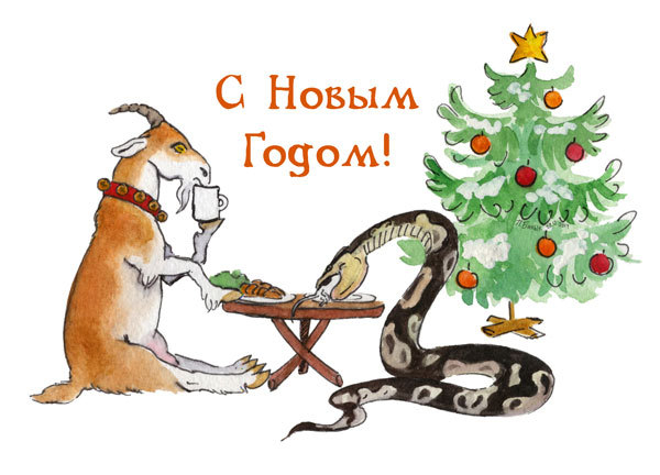 Для любителей региусов