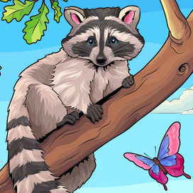 Цветные раскраски