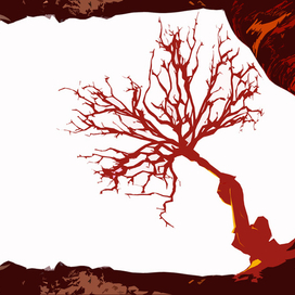 рободерево