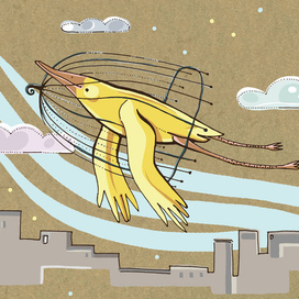 Когда птица вырастает из своей клетки